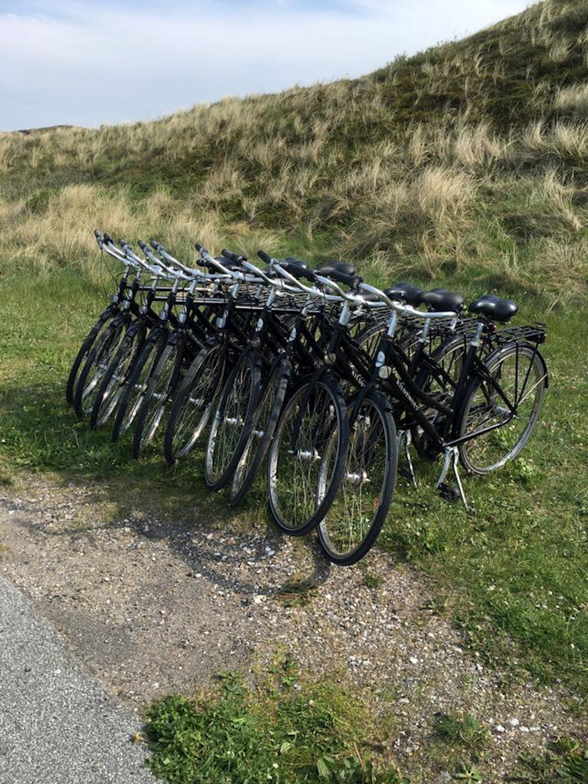 Fri BikeShop Planlæg dit besøg i Thisted med Discover Denmark